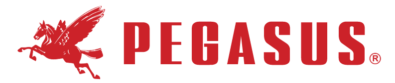 Pegasus